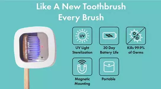 Toothbrush Sterlizer